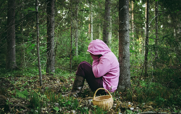 В лесах под Северодвинском продолжают блуждать грибники и ягодники 